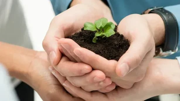 Training für gewaltfreie Kommunikation in Teams