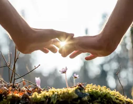 Konfliktlösung durch gewaltfreie Kommunikation